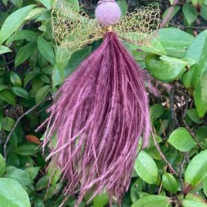 Zuri Medium - Image 2