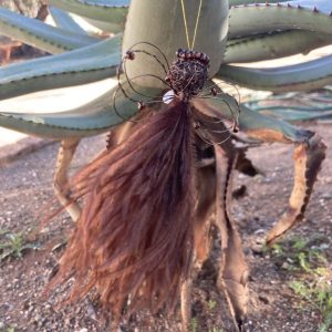 Gugu small - Image 2